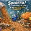 Socorro! Caiu o pote inteiro de ração no meu aquário marinho. E agora?